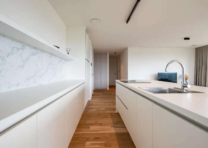 New On A Marvelous Location 公寓 奥斯滕德